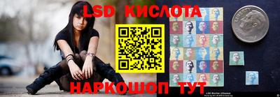 индика Камышлов
