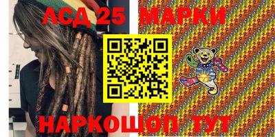 индика Камышлов