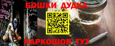 индика Камышлов