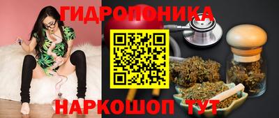 индика Камышлов