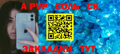 индика Камышлов