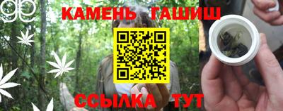 индика Камышлов