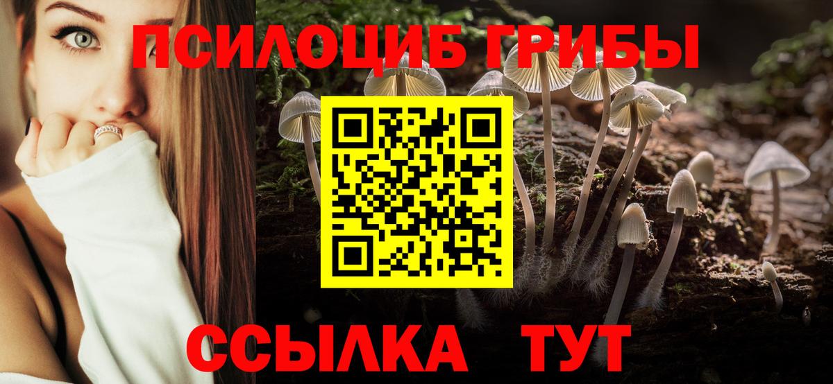 Галлюциногенные грибы ЛСД  Вход с VPN  Галлюциногенные грибы мухоморы  Владимир 